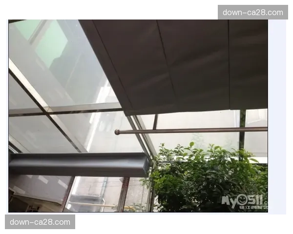 动态：为应对极端天气，部分球馆升级智能天幕系统，可依据日照自动调节透光度