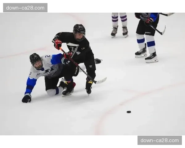 “轮椅冰球”世锦赛在挪威开幕，十二支队伍参赛